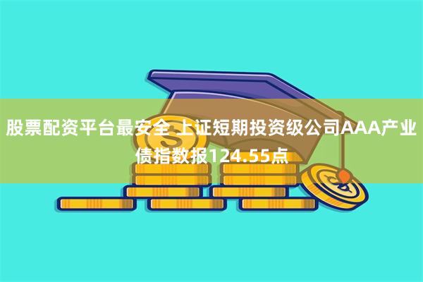 股票配资平台最安全 上证短期投资级公司AAA产业债指数报124.55点