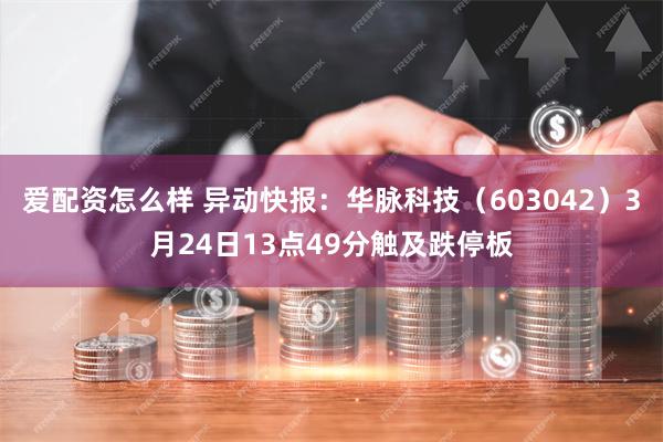 爱配资怎么样 异动快报：华脉科技（603042）3月24日13点49分触及跌停板