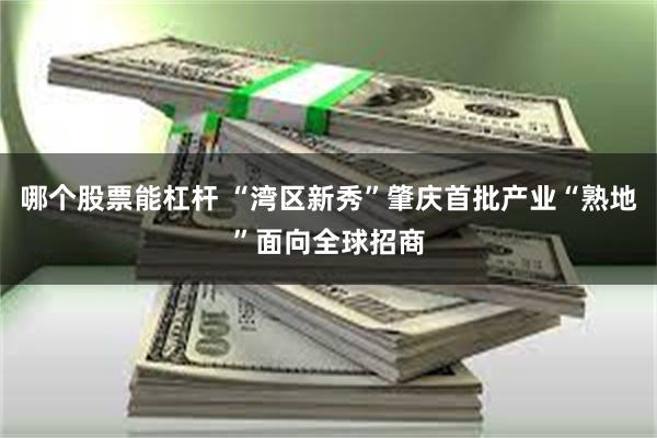 哪个股票能杠杆 “湾区新秀”肇庆首批产业“熟地”面向全球招商