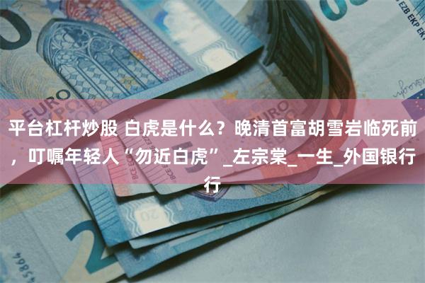 平台杠杆炒股 白虎是什么？晚清首富胡雪岩临死前，叮嘱年轻人“勿近白虎”_左宗棠_一生_外国银行