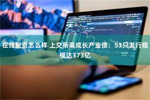 在线配资怎么样 上交所高成长产业债：53只发行规模达373亿