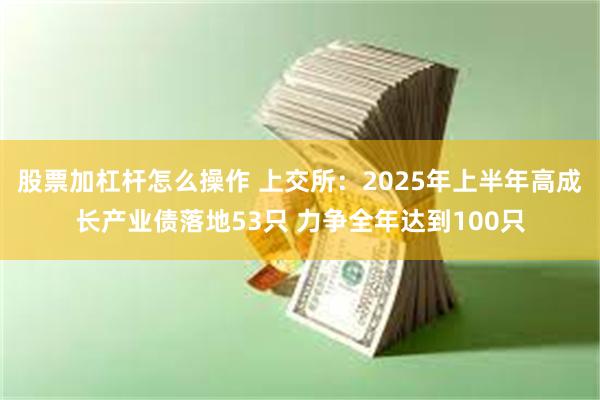 股票加杠杆怎么操作 上交所：2025年上半年高成长产业债落地53只 力争全年达到100只