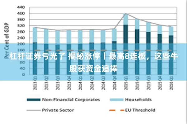 杠杆证券亏光了 揭秘涨停丨最高8连板，这些牛股获资金追捧