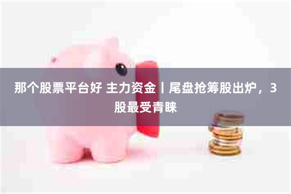 那个股票平台好 主力资金丨尾盘抢筹股出炉，3股最受青睐