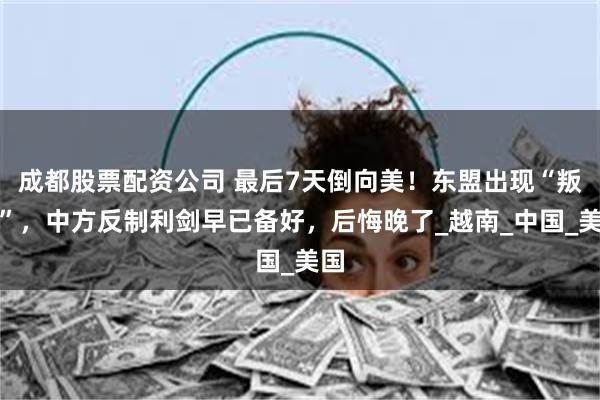 成都股票配资公司 最后7天倒向美！东盟出现“叛徒”，中方反制利剑早已备好，后悔晚了_越南_中国_美国