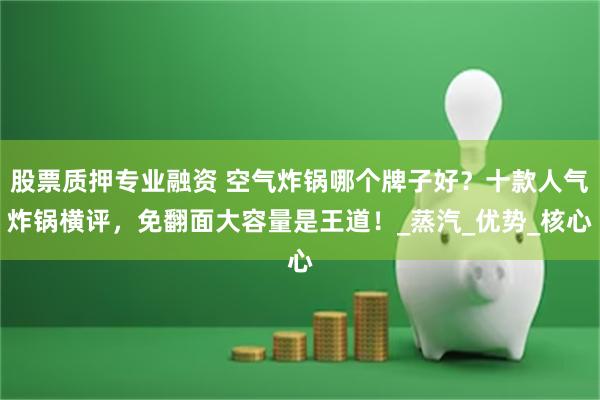 股票质押专业融资 空气炸锅哪个牌子好？十款人气炸锅横评，免翻面大容量是王道！_蒸汽_优势_核心