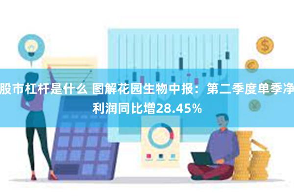 股市杠杆是什么 图解花园生物中报：第二季度单季净利润同比增28.45%